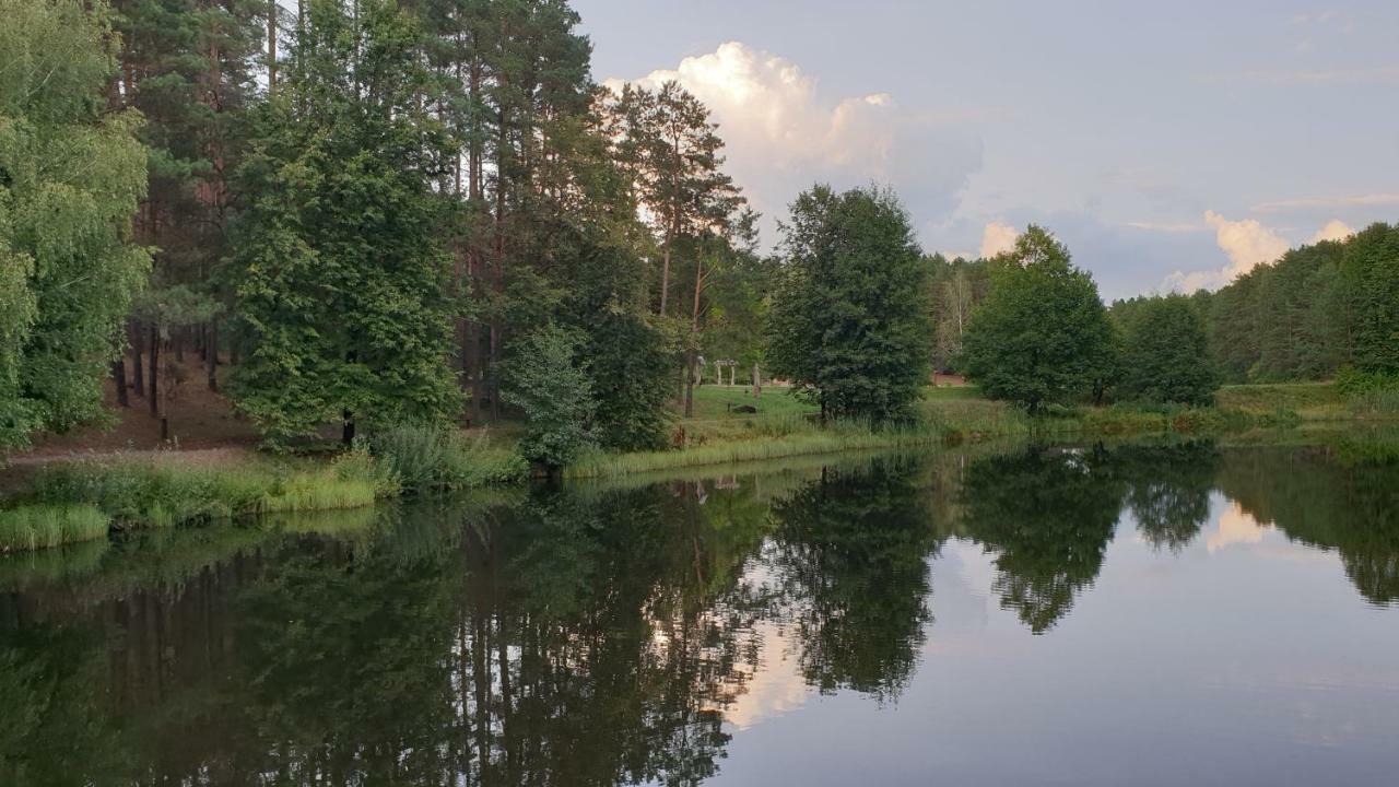 Garden Studio By The Lake With Air-Con And Infrasauna Ντρουσκινινκάι Εξωτερικό φωτογραφία